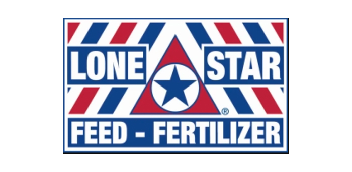 lone star logo copy