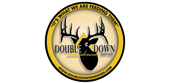 dd logo copy